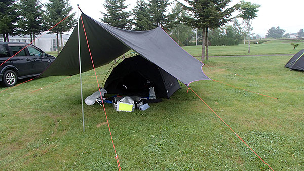 虫類キャンプ場のテントサイト